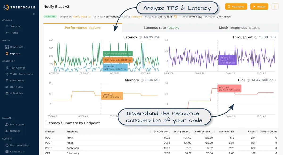 Speedscale interface