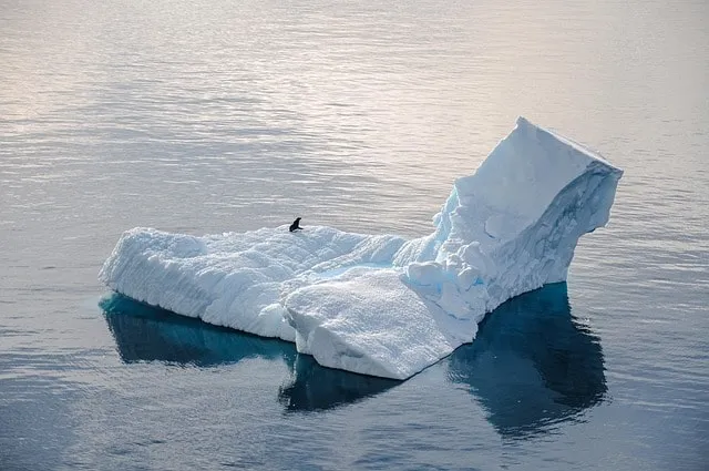 To gain a sense of how Speedscale addresses this issue, let’s examine what the regulatory iceberg...