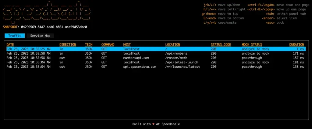 proxymock inspect rrpairs