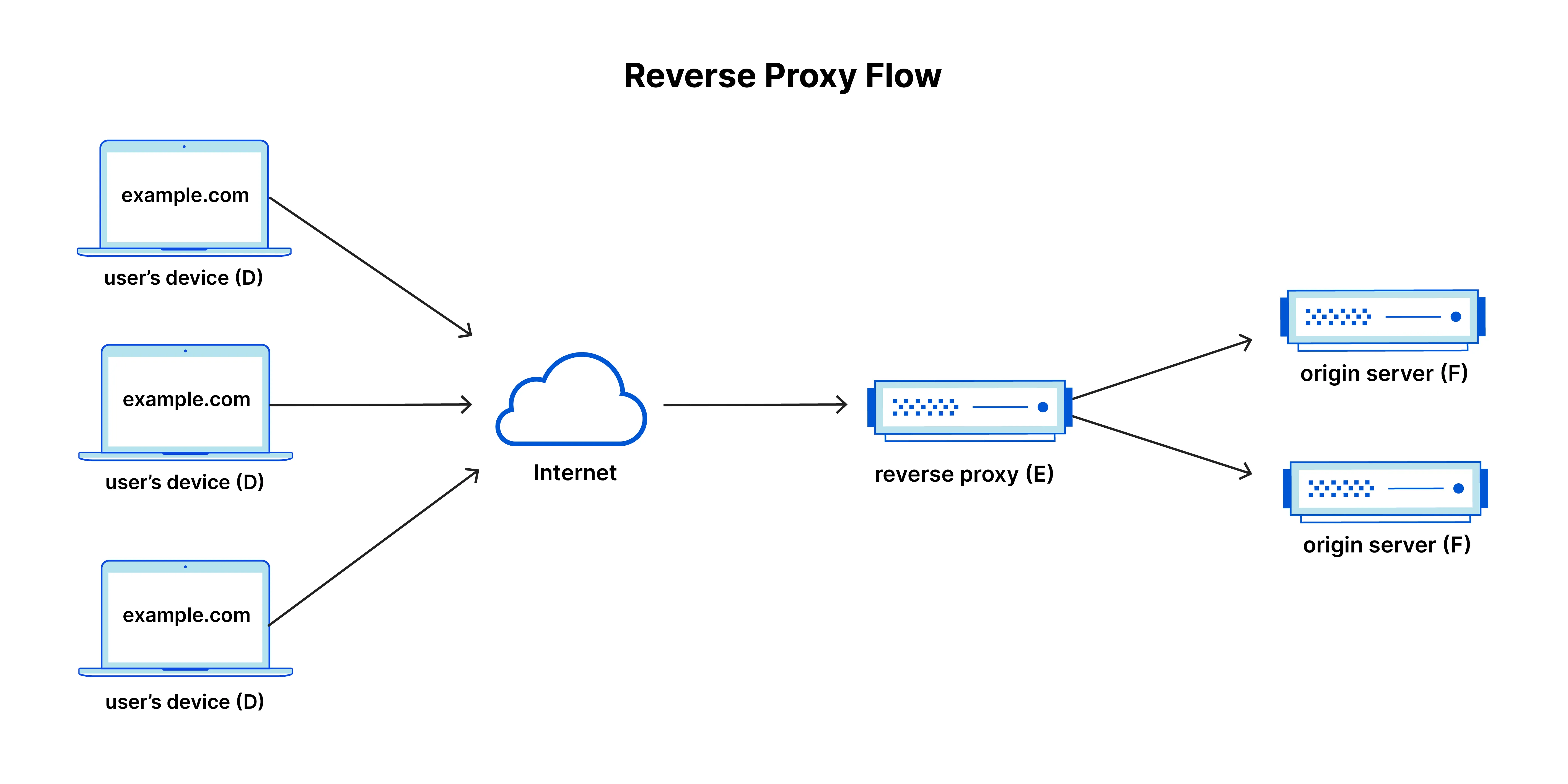 reverse proxy