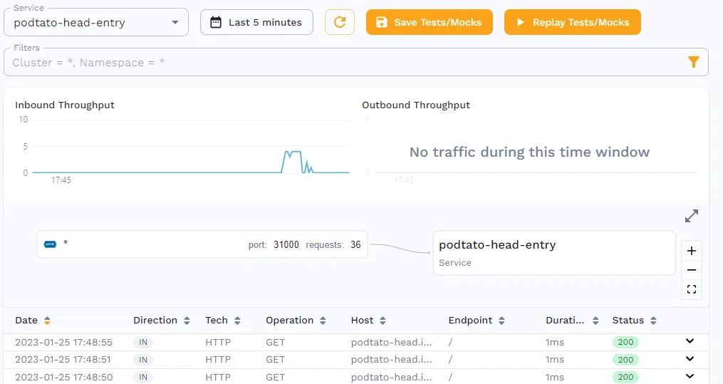 Screenshot of captured traffic in Speedscale